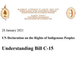 understanding bill c-15