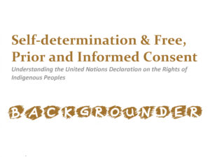 Self-determination & free, prior and informed consent