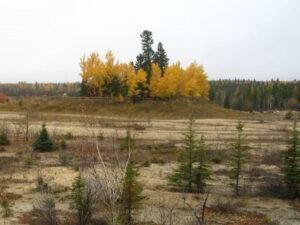 Northwestern Ontario landscape