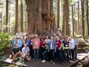 participants of Rolling Justice Bus in an old-growth forest