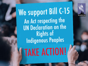 We support Bill C-15 An Act respecting the UN Declaration on the Rights of Indigenous Peoples TAKE ACTION!