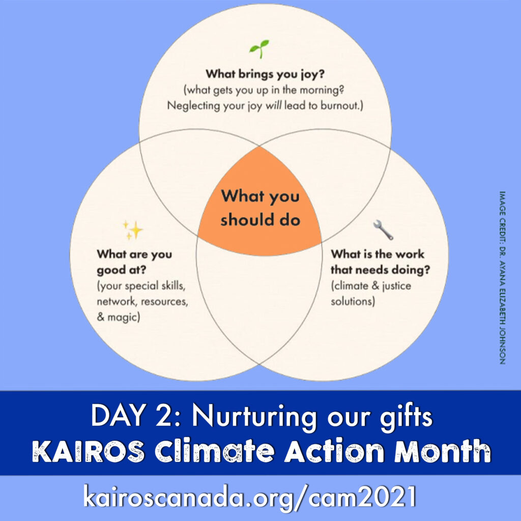 Dr. Ayanna Elizabeth Johnson can help you answer the question “What can I do?” and discern your own personal gifts for climate action. She used a Venn diagram in her own life to see where there was overlap in her talents and interests and the problems she wanted to help solve.