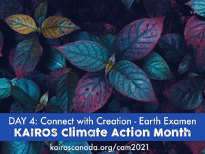 DAY 4 of Climate Action Month: connect with Creation - Earth Examen