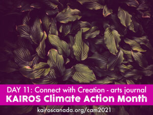 DAY 11 of Climate Action Month: connect with Creation with an arts journal