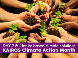 DAY 29 of climate action month, nature-based climate solutions