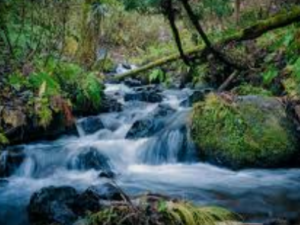 stream of water