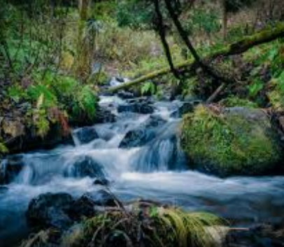 stream of water