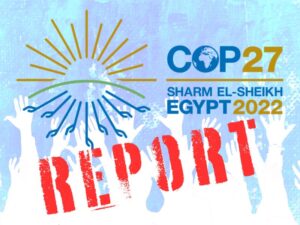 COP27 Delegation Report