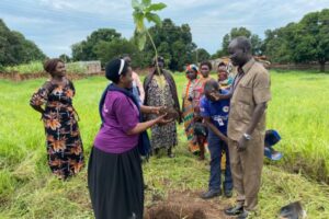 Tree planting in South Sudan by SSCC and HJ