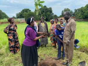 Tree planting in South Sudan by SSCC and HJ