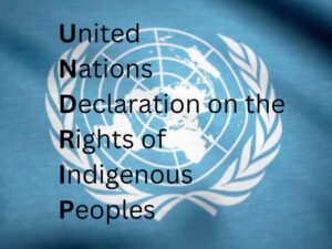 UNDRIP